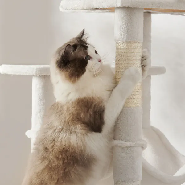 RHRQuality Krabpaal voor Grote katten - Corner Coon