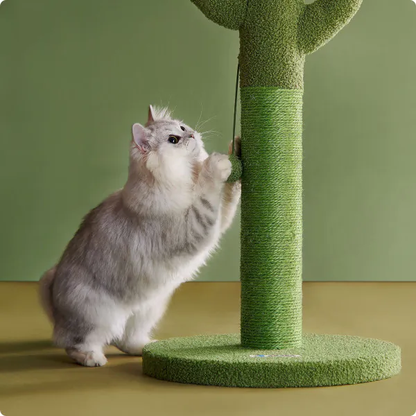 PawHut Krabpaal voor katten, cactusvorm, natuur, met PawHut Krabpaal voor katten, cactusvorm, natuur, met